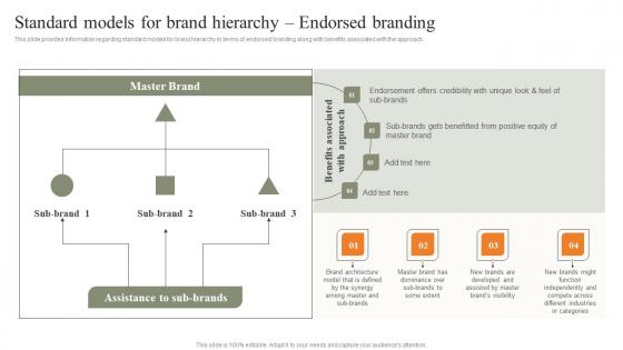 Standard Models For Brand Hierarchy Endorsed Branding Strategies For Achieving Template Pdf