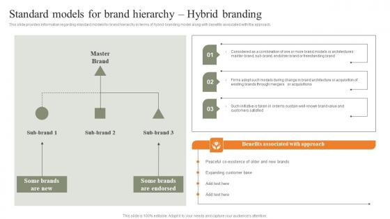 Standard Models For Brand Hierarchy Hybrid Branding Strategies For Achieving Background Pdf