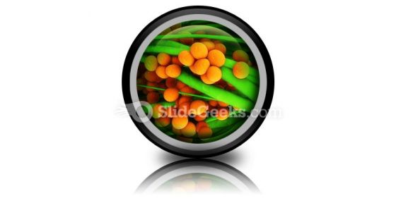 Staphylococcus Science PowerPoint Icon Cc