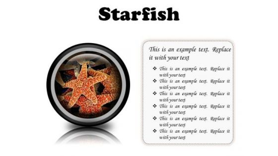 Starfish Animals PowerPoint Presentation Slides Cc