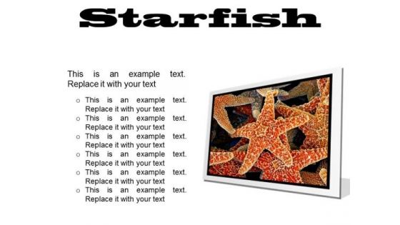 Starfish Animals PowerPoint Presentation Slides F