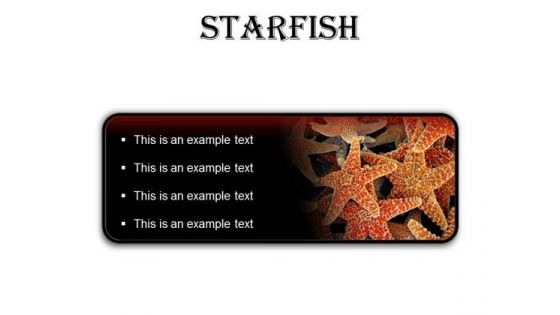 Starfish Animals PowerPoint Presentation Slides R