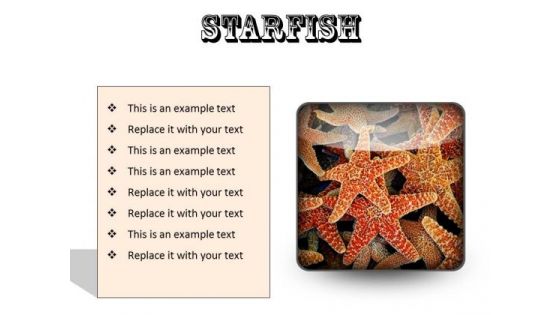 Starfish Animals PowerPoint Presentation Slides S