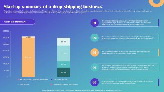 Start Up Summary Of A Drop Shipping Business Drop Shipping Business Plan Portrait Pdf