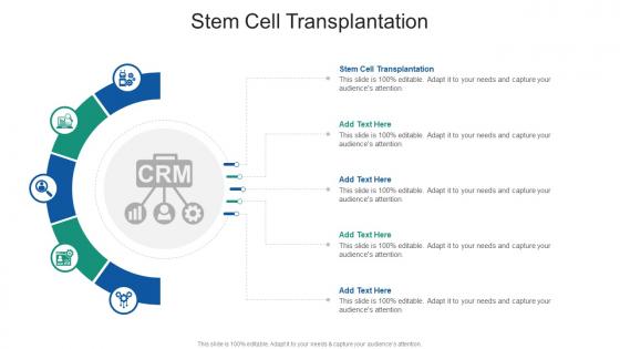 Stem Cell Transplantation In Powerpoint And Google Slides Cpb