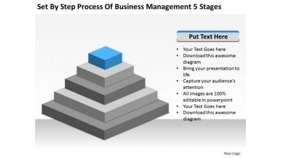 Step Process Of Business Management 5 Stages Ppt Plan Companies PowerPoint Templates