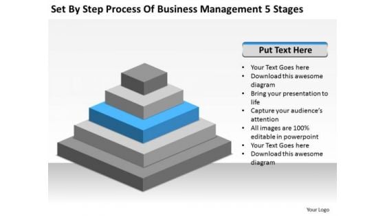 Step Process Of Business Management 5 Stages Ppt Plan Formats PowerPoint Templates