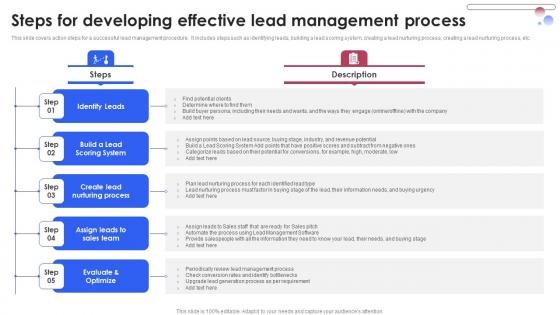Steps For Developing Effective Lead Management Various Techniques For Managing Mockup PDF