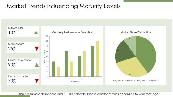 Steps To Achieve Optimizing Level Capability Maturity PPT Outline AT Slide14