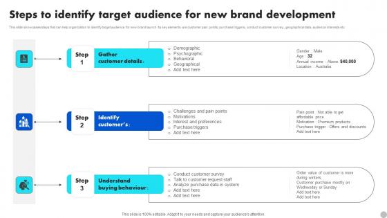 Steps To Identify Target Audience For New Brand Diversification Approach Microsoft Pdf