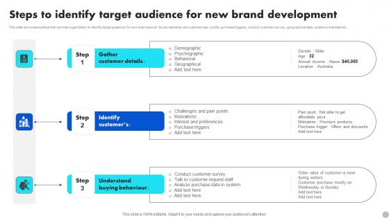 Steps To Identify Target Audience For New Brand Diversification Approach Microsoft Pdf Steps To Identify Target Audience For New Brand Diversification Approach Microsoft Pdf