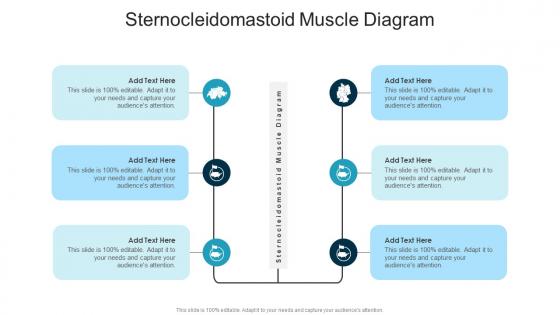 Sternocleidomastoid Muscle Diagram In Powerpoint And Google Slides Cpb