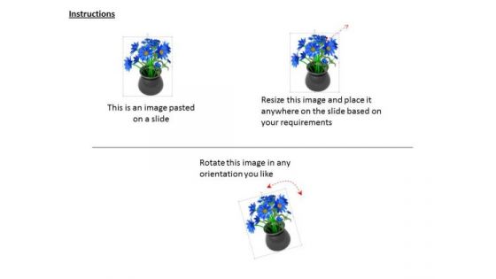 Stock Photo Blue Flower Bunch In Black Pot PowerPoint Slide