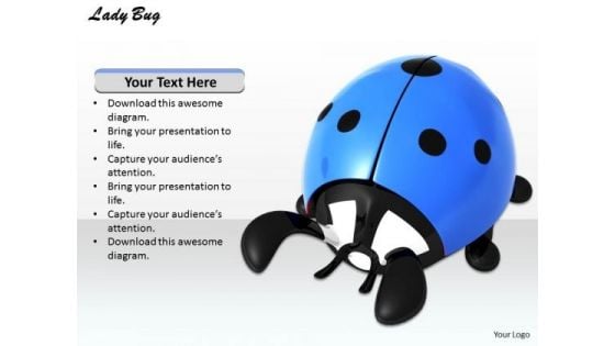 Stock Photo Blue Lady Bug On White Background PowerPoint Slide
