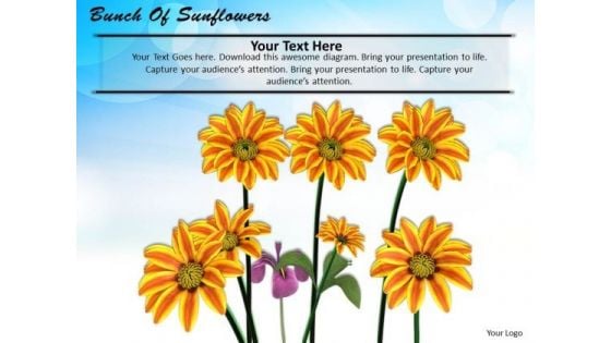 Stock Photo Bunch Of Sunflowers PowerPoint Template