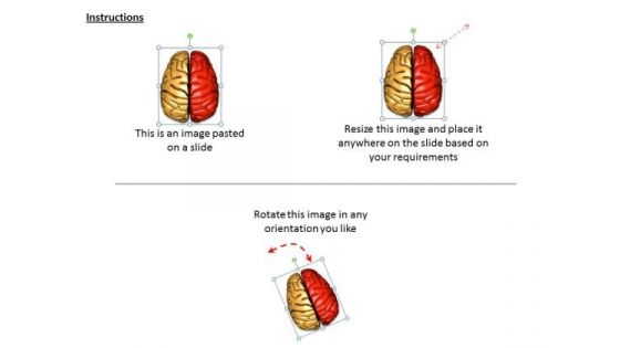 Stock Photo Business Expansion Strategy Red And Golden Human Brain Icons Images