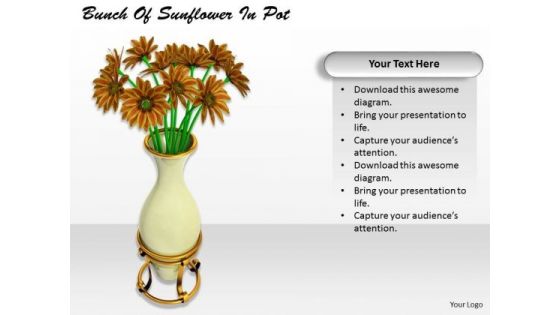 Stock Photo Business Plan Strategy Bunch Of Sunflower Pot Best Stock Photos