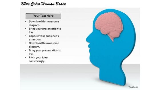 Stock Photo Business Policy And Strategy Blue Color Human Brain Clipart