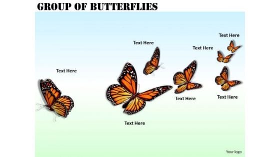 Stock Photo Business Strategy Consultant Group Of Butterflies Pictures