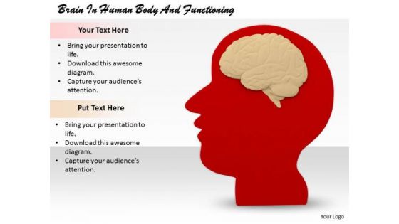 Stock Photo Business Strategy Review Brain Human Body And Functioning Pictures Images