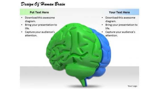 Stock Photo Business Strategy Review Design Of Human Brain Images