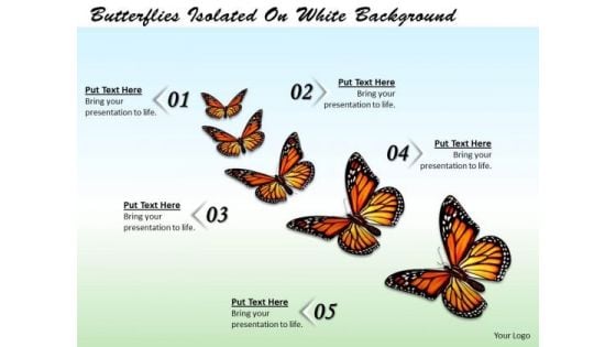 Stock Photo Butterflies Isolated On White Background Ppt Template