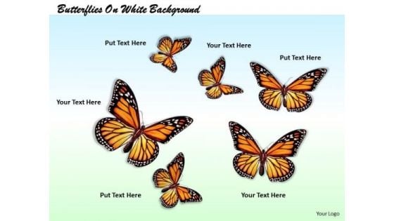 Stock Photo Butterflies On White Background PowerPoint Template