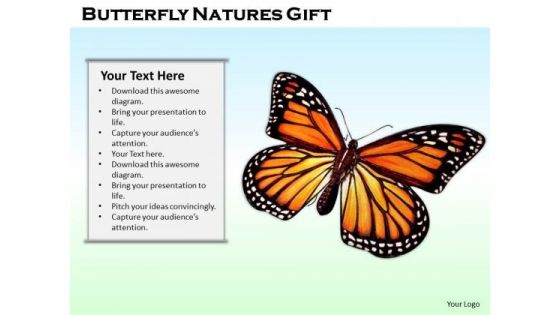 Stock Photo Butterfly Natures Gift PowerPoint Template