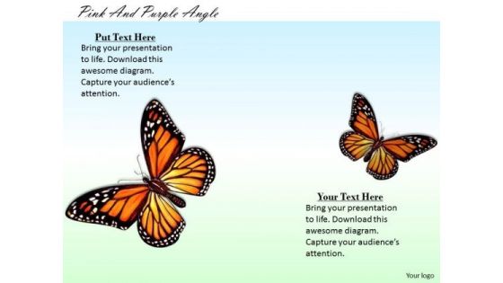 Stock Photo Colorful Picture Of Butterflies PowerPoint Slide