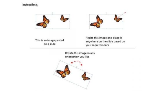 Stock Photo Colorful Picture Of Butterflies PowerPoint Slide