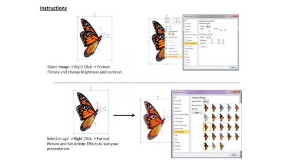Stock Photo Developing Business Strategy Single Butterfly Graphic Design Success Images