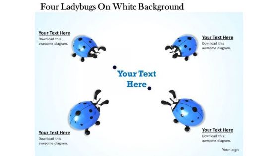 Stock Photo Four Ladybugs On White Background PowerPoint Template Stock Photo Four Ladybugs On White Background PowerPoint Template