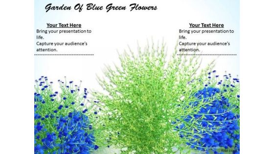 Stock Photo Garden Of Blue Green Flowers Ppt Template