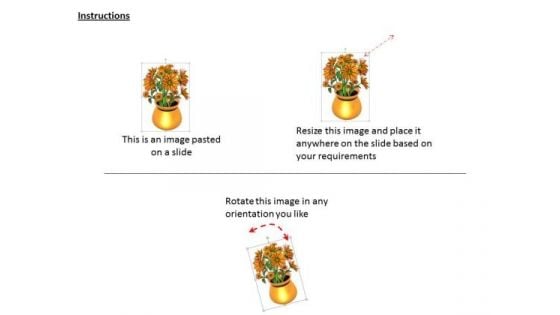 Stock Photo Golden Pot With Flowers On White Background PowerPoint Slide