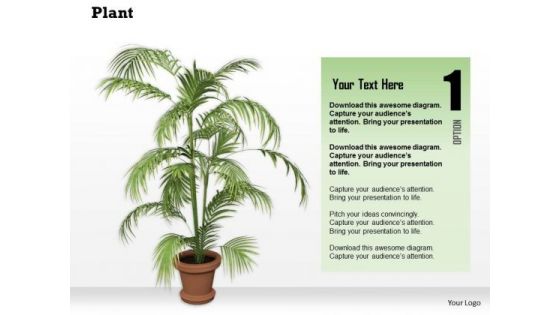 Stock Photo Graphics Of Vase With Green Plant PowerPoint Slide