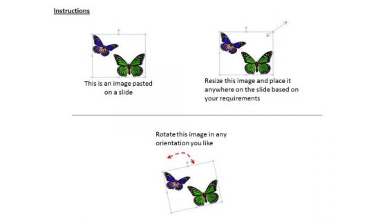 Stock Photo Green And Blue Butterflies Nature Theme PowerPoint Slide