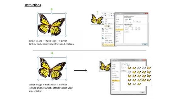 Stock Photo Illustration Of Beautiful Butterfly PowerPoint Slide