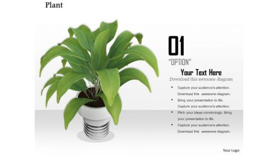 Stock Photo Illustration Of Green Plant In White Vase PowerPoint Slide