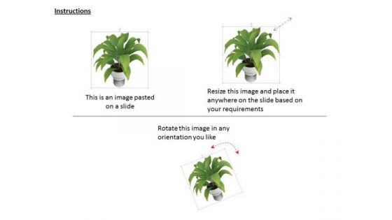 Stock Photo Illustration Of Indoor Plant PowerPoint Slide