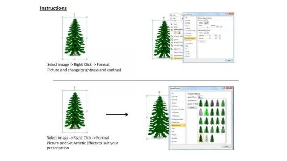 Stock Photo Illustration Of Pine Tree PowerPoint Slide