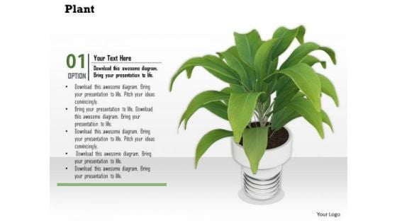 Stock Photo Illustration Of Plant In White Vase PowerPoint Slide