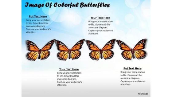 Stock Photo Image Of Colorful Butterflies Ppt Template