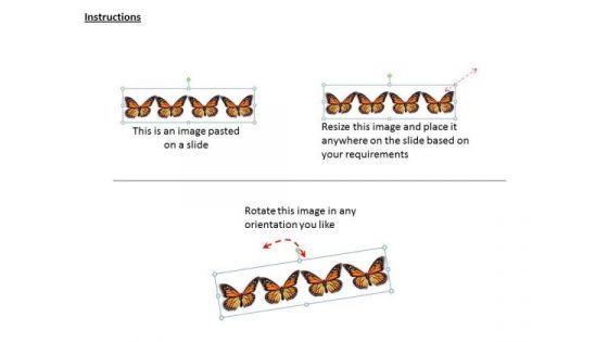 Stock Photo Image Of Colorful Butterflies Ppt Template
