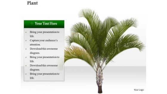 Stock Photo Image Of Palm Tree On Beach PowerPoint Slide