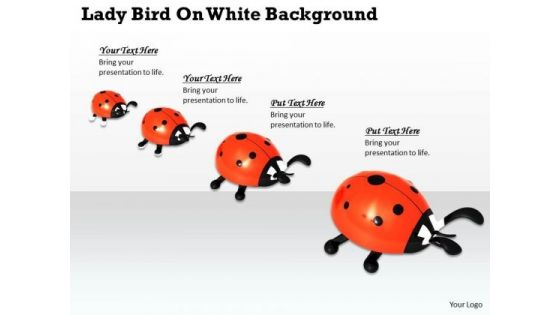 Stock Photo Lady Birds On White Background PowerPoint Slide