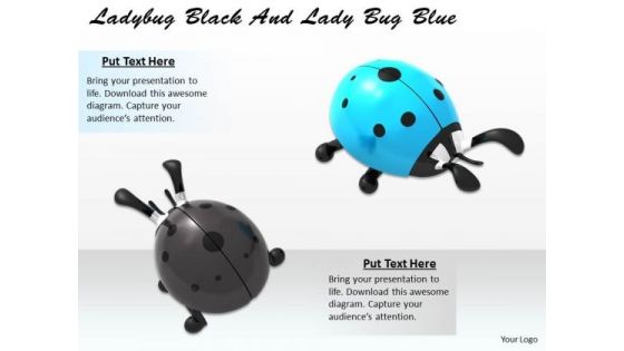 Stock Photo Lady Bug Black And Lady Bug Blue PowerPoint Slide