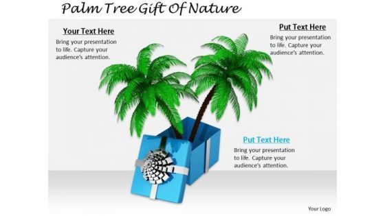 Stock Photo Marketing Concepts Palm Tree Gift Of Nature Business Pictures Images Stock Photo Marketing Concepts Palm Tree Gift Of Nature Business Pictures Images