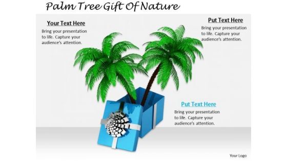 Stock Photo Marketing Concepts Palm Tree Gift Of Nature Business Pictures Images