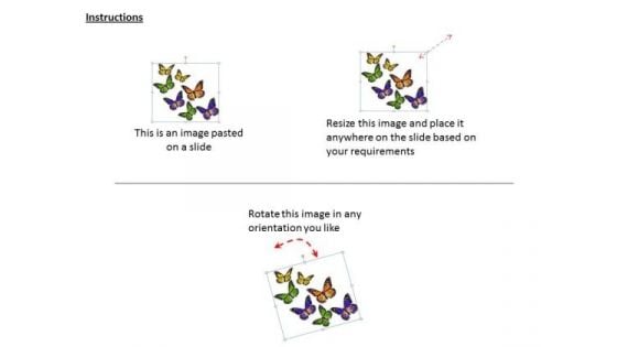 Stock Photo Multicolor Butterflies Graphic PowerPoint Template