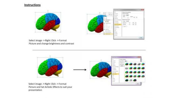 Stock Photo Multicolored Brain PowerPoint Slide